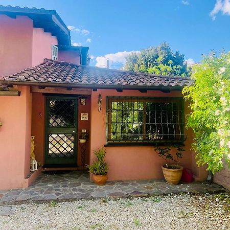 Il Ninfeo " Le Cocon" Appartamento Zagarolo Exterior foto